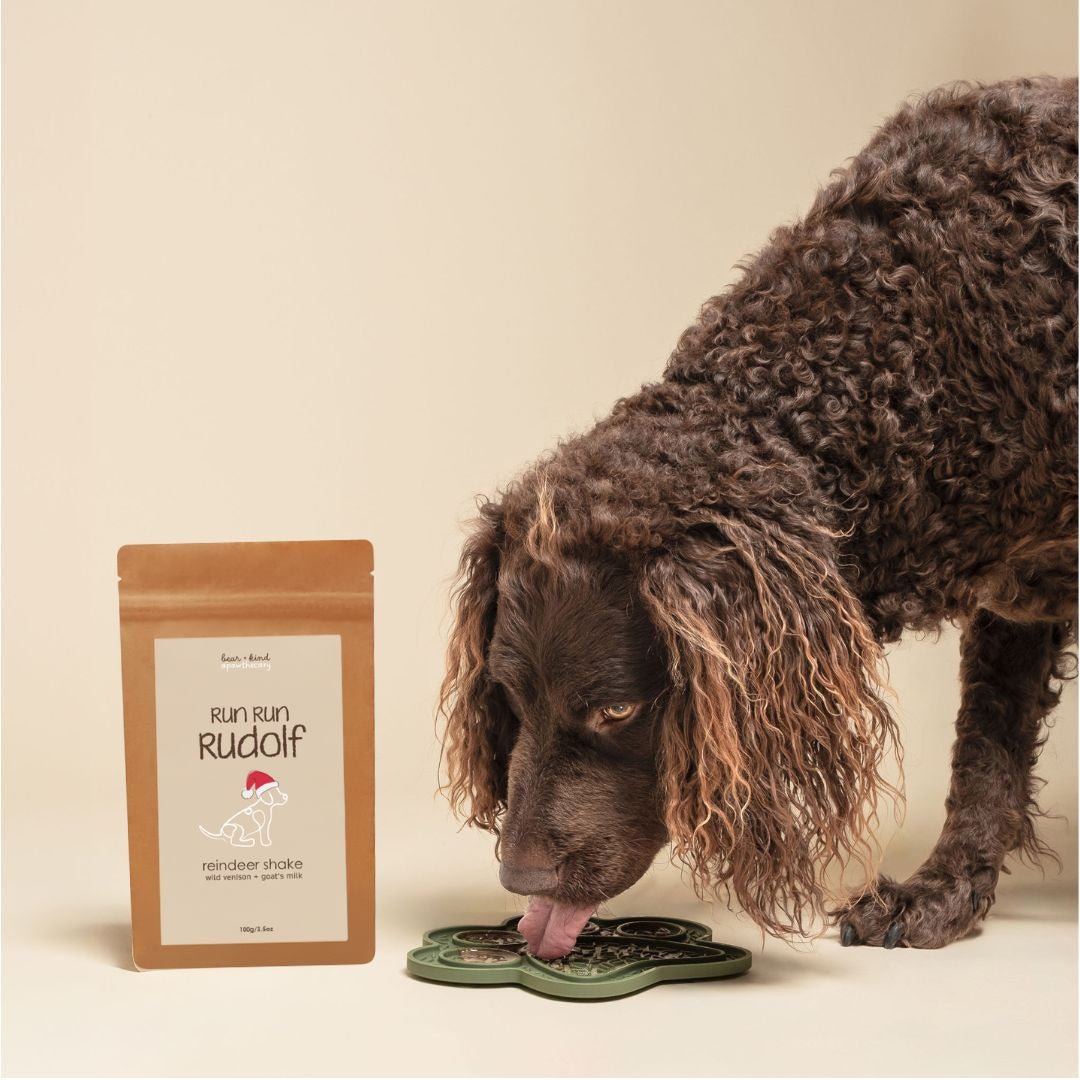 Run Run Rudolf Reindeer Shake for Dogs